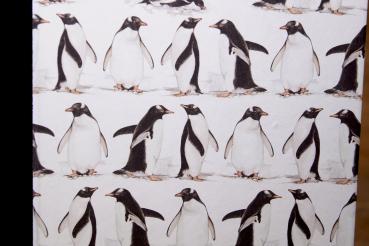 Pinguinpapier von Papeterie Schreibweise